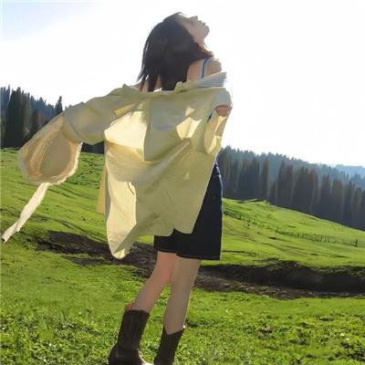 马达加斯加的企鹅